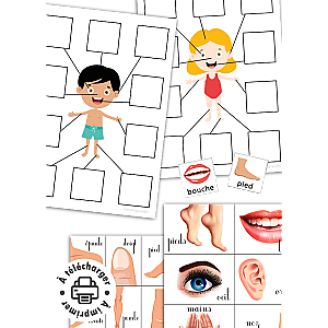 Fiches d'apprentissage du corps humain à imprimer (Niveau Maternelle)