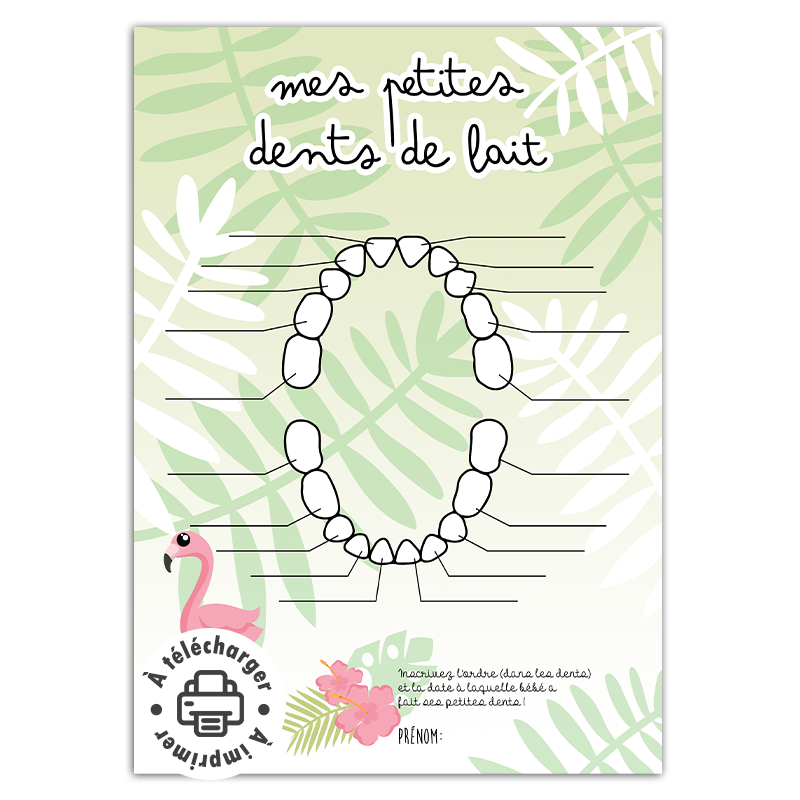 Fiche mémo des dents de lait pour bébé (Modèle Flamant Rose à imprimer)
